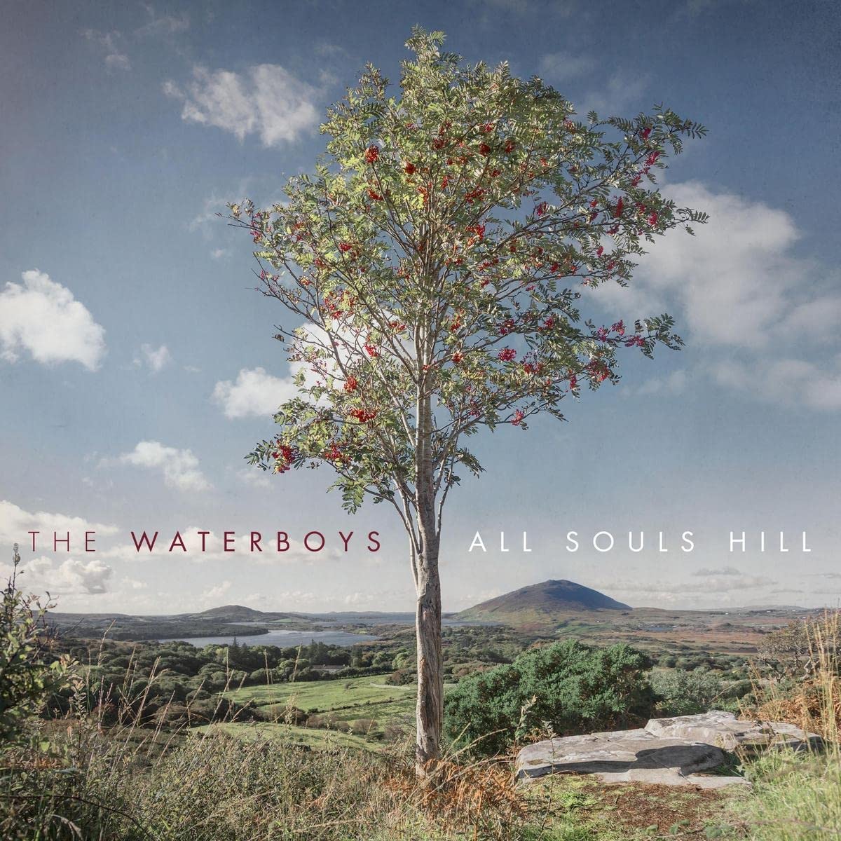WATERBOYS - All Souls Hill