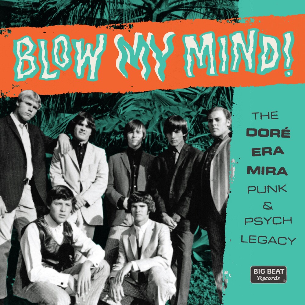 V/A - THE SYNDICATE / SIMON T STOKES / THE BEES - BLOW MY MIND! THE DORE' ERA MIRA: PUNK & PSYCH LEGACY