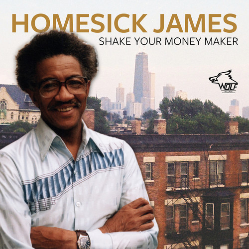 HOMESICK JAMES - SHAKE YOUR MONEY MAKER