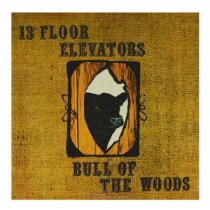 13TH FLOOR ELEVATORS - BULL OF THE WOODS - DELUXE