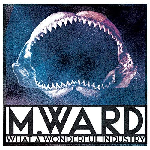 M WARD - WHAT A WONDERFUL INDUSTRY