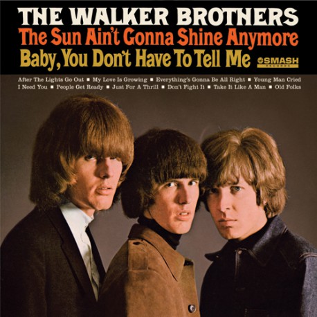 WALKER BROTHERS - SUN AIN'T GONNA SHINE ANYMORE